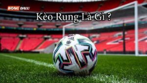 Kèo Rung (Bóng Đá) Và Những Thông Tin Cơ Bản Người Chơi Cần Nắm Rõ