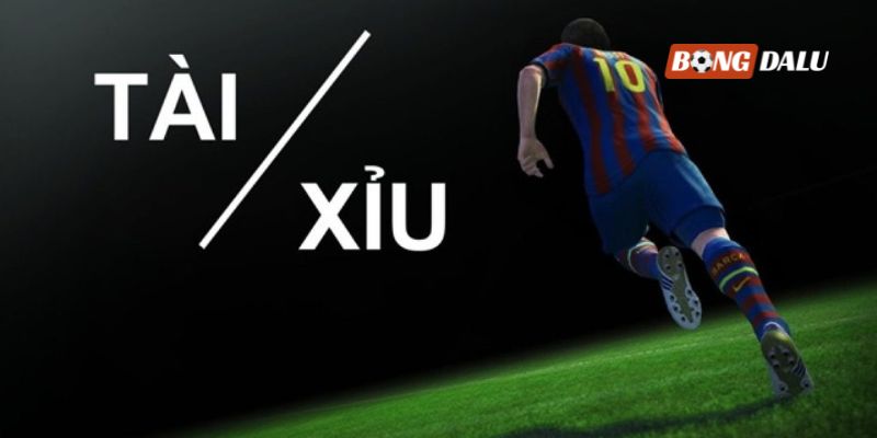 Mẹo chơi cược U/O cược dễ dành cho người mới tập